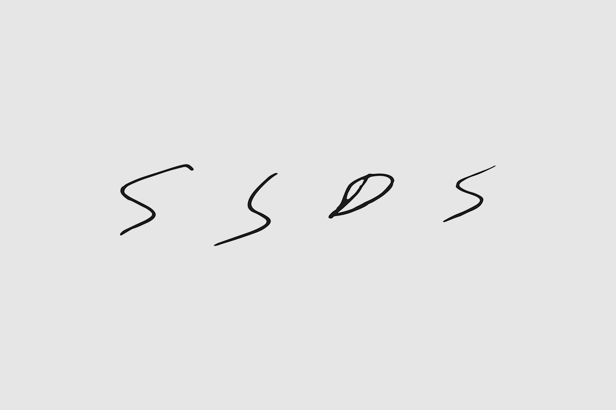 SSDS-Branding-Slides